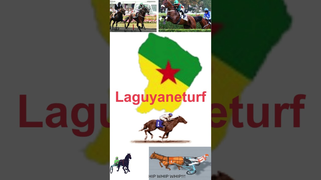 Pronostics Pmu Quinté du  DIMANCHE 17 MARS 2024 AUTEUIL   Prix Prédicateur