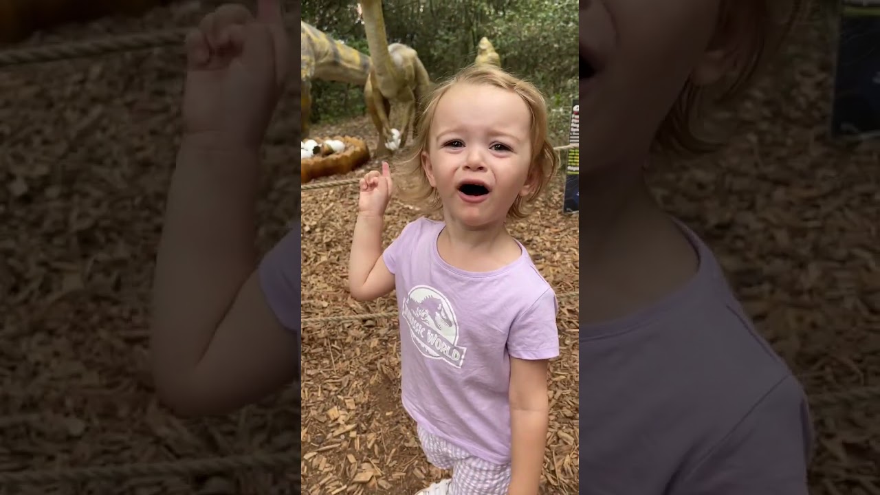 Bébé dinosaure 😂😂 #drole #humour #rire #famille