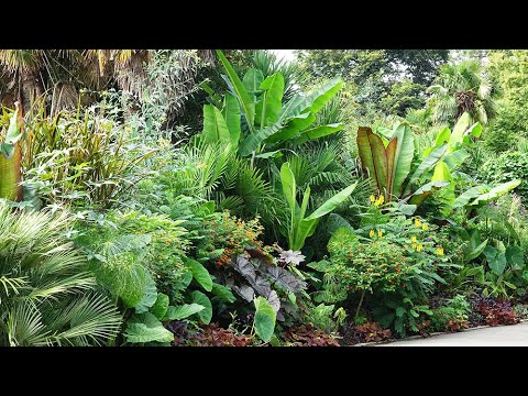 UN EXCEPTIONNEL JARDIN D’INSPIRATION TROPICALE À DÉCOUVRIR AU PARC DU GRAND BLOTTEREAU DE NANTES